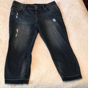 Torrid Premium Ankle Jegging